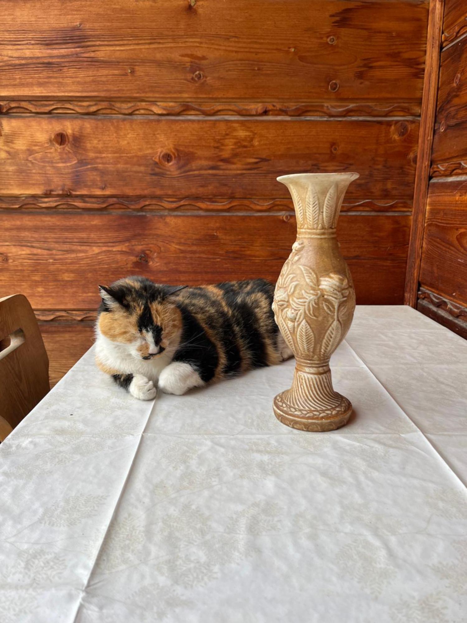 Willa Slotwinka Krynica Zdroj Buitenkant foto
